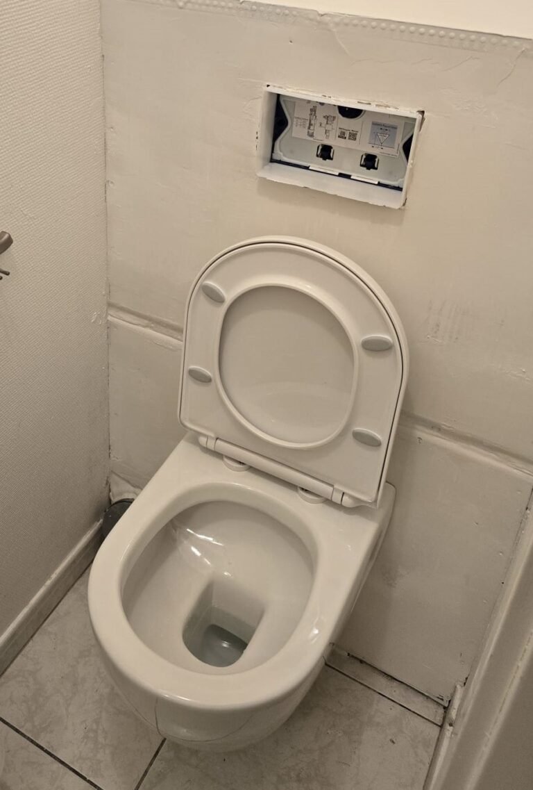remplacement-des-toilettes-plombier-luxembourg